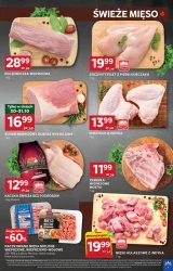 Weekendowe hity - Stokrotka Optima