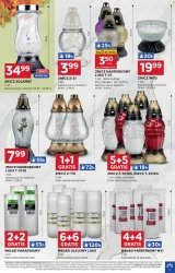 Weekendowe hity - Stokrotka Optima