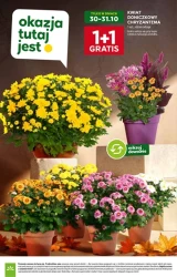 Oszczędzaj i smakuj - Stokrotka Supermarket