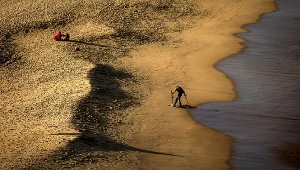 Australia. Listy w butelce znalezione na brzegu morza (zdj. ilustracyjne)