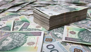 Mocniejszy dolar i stabilny kurs złotego. Rynek czeka na posiedzenie RPP