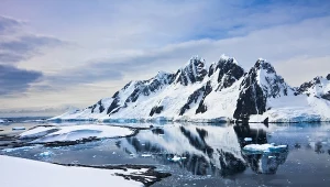 Szukali statku na Antarktydzie. Pod lodem odkryli tysiące jaj