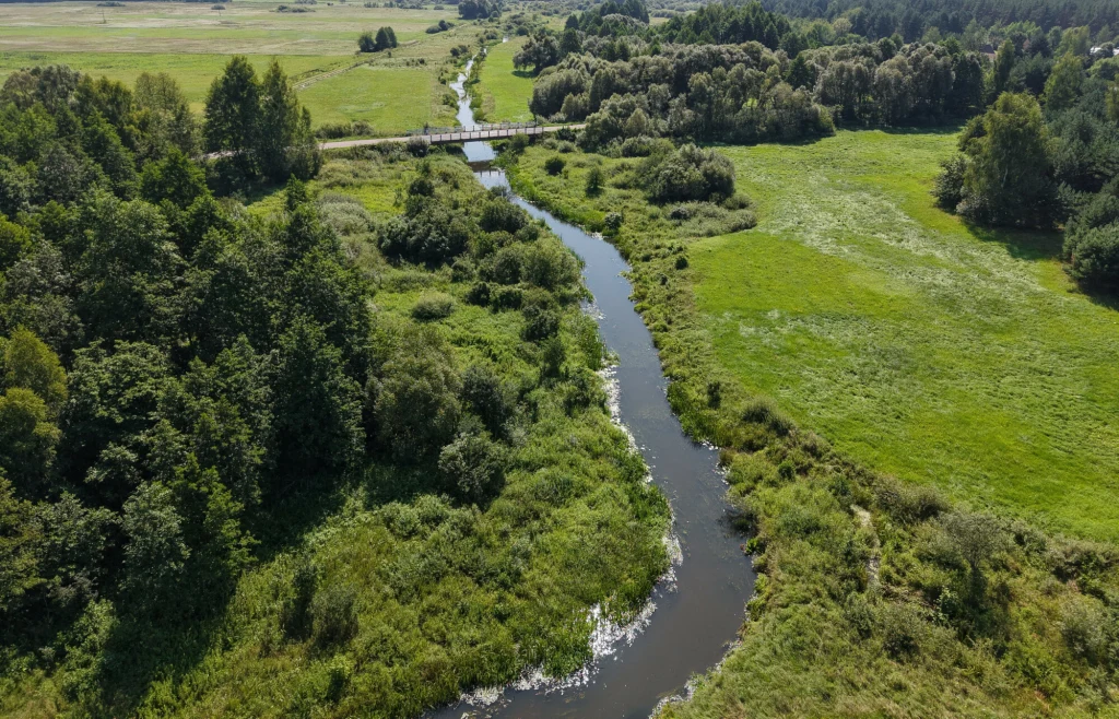 Obiekt światowego dziedzictwa UNESCO Puszcza Białowieska jest w krytycznym stanie – alarmują eksperci Międzynarodowej Unii Ochrony Przyrody Obiekt światowego dziedzictwa UNESCO Puszcza Białowieska jest w krytycznym stanie – alarmują eksperci Międzynarodowej Unii Ochrony Przyrody