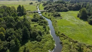 Stan Puszczy Białowieskiej jest "krytyczny". Eksperci alarmują
