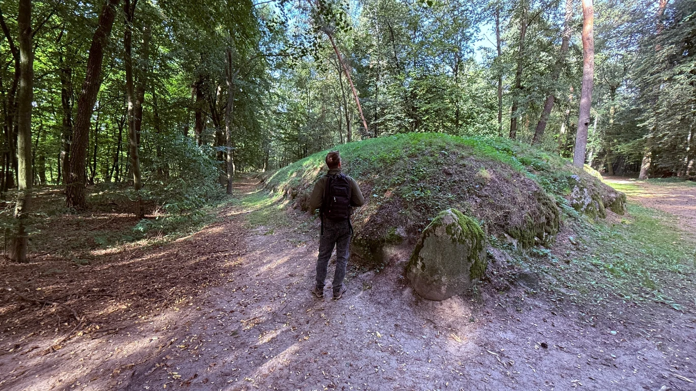 Skupisko prehistorycznych grobowców w Wietrzychowicach powstało ok. 5500 lat temu. Osoba stojąca tyłem przy porośniętym trawą kurhanie otoczonym dużymi kamieniami, w środku leśnej drogi pośród wysokich drzew.