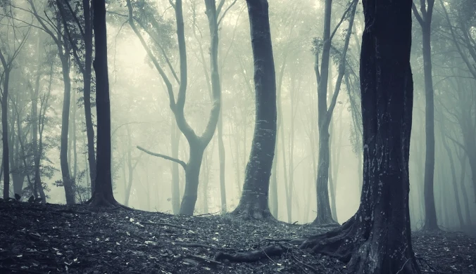 “Czuli się śledzeni”. Zagadka zaginionych ludzi do dziś pozostaje nierozwiązana