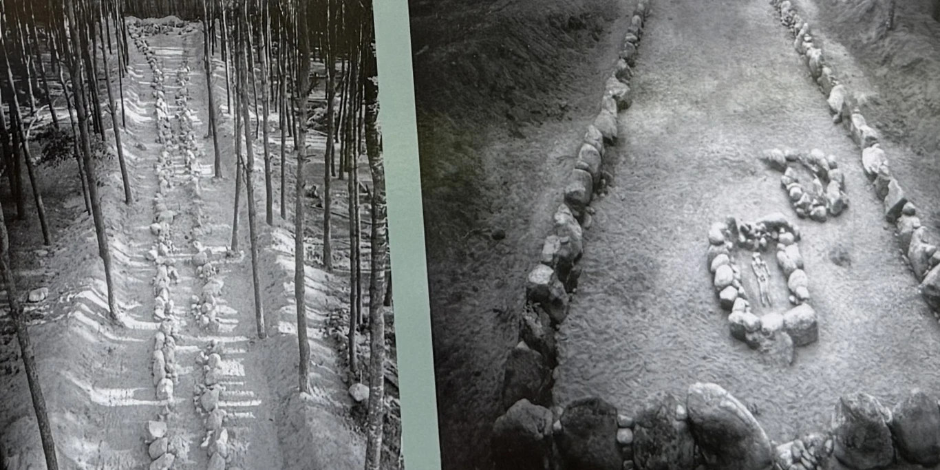 Widok na największy grobowiec Wietrzychowic (nr 3) przed rekonstrukcją, oraz ujęcie z widocznymi grobami. Kamienne konstrukcje ułożone w regularnym prostokątnym kształcie otoczone przez drzewa, z widocznymi okręgami ułożonymi z kamieni na ziemi, sugerującymi miejsce pochówków lub grobowców.