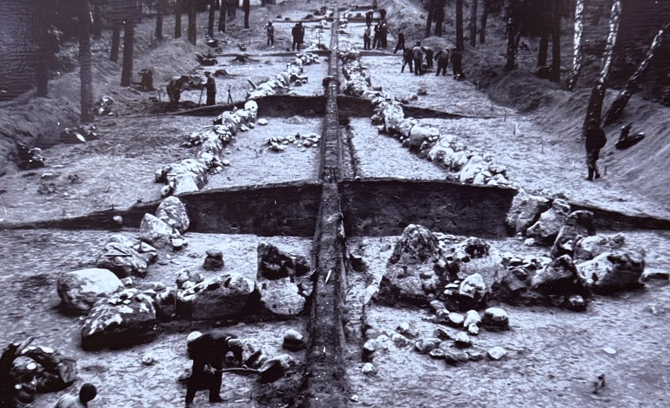 Archiwalne fotografie z badań w Wietrzychowicach. Tu widok na grobowiec nr 1. Ekshumacja masowych grobów w lesie. Wydobyte szczątki ludzkie rozmieszczone w rowach, po bokach widoczne są osoby uczestniczące w pracach ekshumacyjnych. Scena otoczona drzewami, prace prowadzone są w uporządkowany sposób.