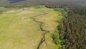 Polscy przyrodnicy mówią "dość". Wykupują bezcenne tereny na własną rękę