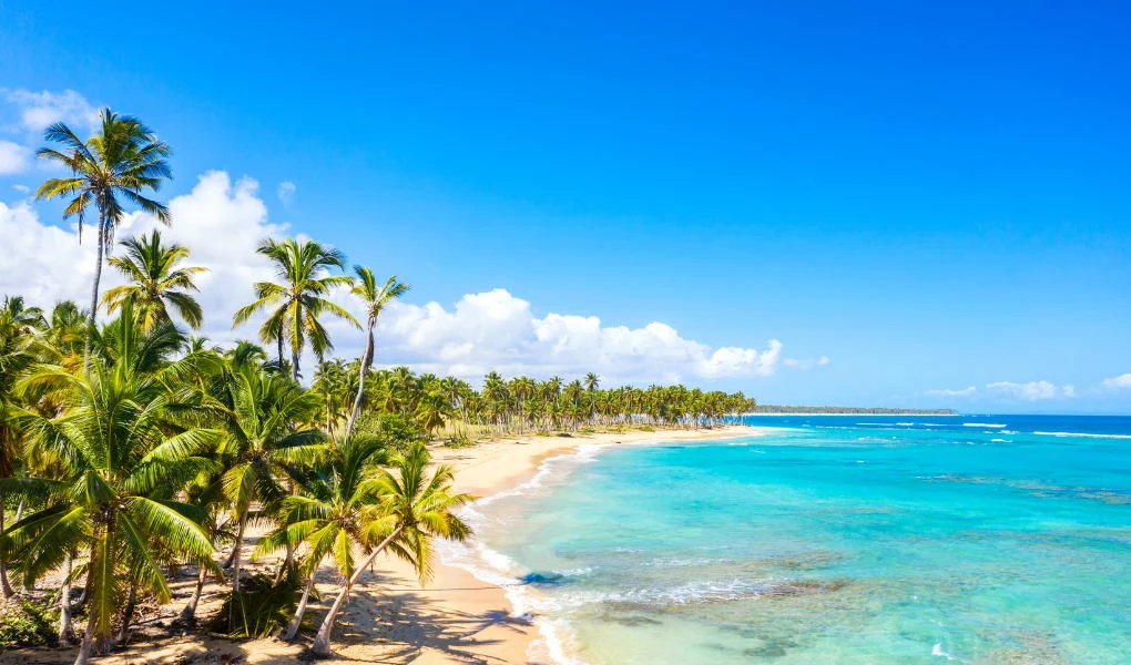 Dominikana spełni Twoje marzenia o raju na ziemi Złocisty piasek, lazurowa woda oceanu oraz liczne wysokie palmy przy brzegu pod rozległym, błękitnym niebem. Lekko falujące morze i soczysta zieleń roślinności tworzą wrażenie rajskiej, tropikalnej scenerii.