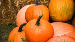 Halloween 2025. Kiedy jest i co to za święto?