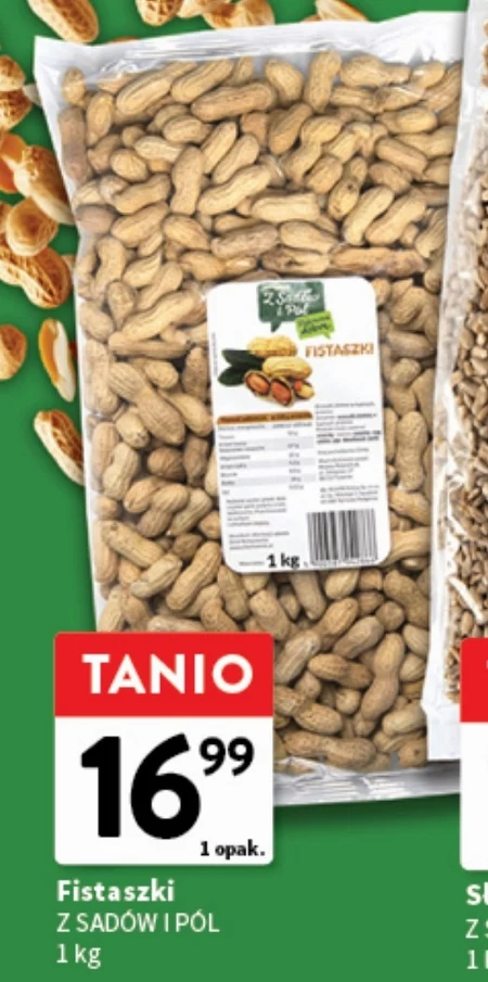 Кулачні бої Z Sadów i Pól