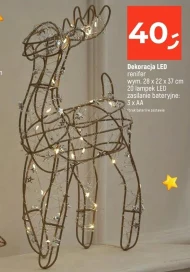 Північний олень Renifer