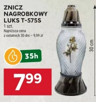 Znicz Luks