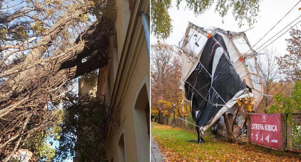 Wichura we Wrocławiu. Władze miasta apelują do mieszkańców Wichura we Wrocławiu. Władze miasta apelują do mieszkańców