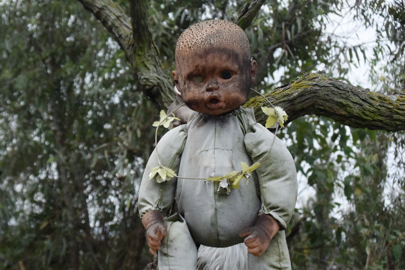 Wyspa Lalek to miejsce, które przez ponad 25 lat zamieszkiwał samotnie Don Julián Santana Barrera Stara, zniszczona lalka o przybrudzonej twarzy i ubraniu, zawieszona na drzewie wśród liści, z plastikowym wieńcem na szyi. Tło stanowią ciemne konary oraz liście drzew.