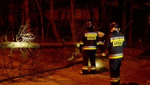 Ponad 1500 interwencji w całej Polsce. Powalone drzewa, zalane ulice