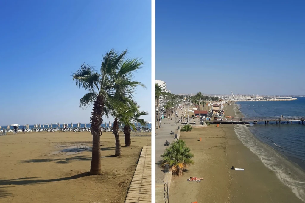 Plaża Finikoudes Palmy rosnące na piaszczystej plaży po lewej stronie zdjęcia, liczne leżaki i parasole ustawione w tle, po prawej widok na promenadę nadmorską z molo, zabudowaniami oraz łagodnie opadającym do morza wybrzeżem.