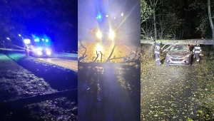 Nawałnice przetoczyły się przez Polskę. Wichura powalała drzewa, są ranni