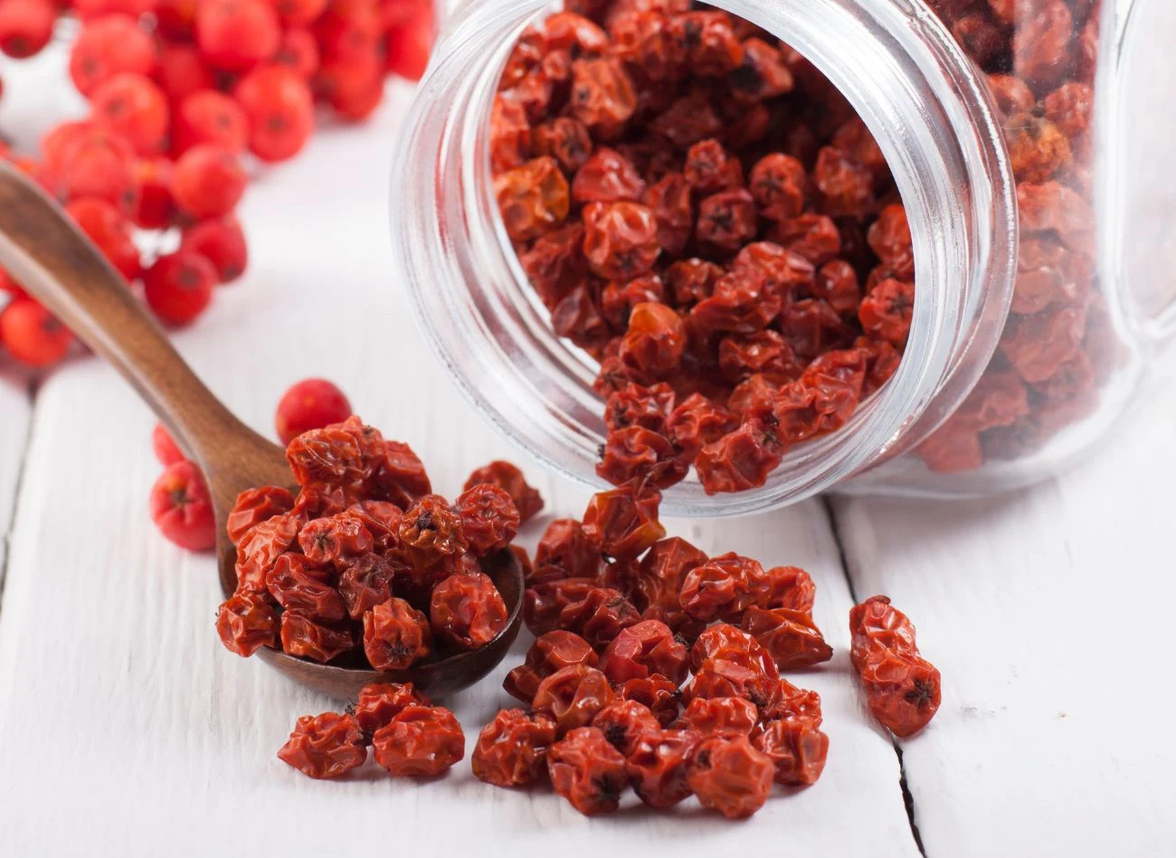 Suszona jarzębina jest doskonałą, zdrową przekąską. Suszona jarzębina jest doskonałą, zdrową przekąską.