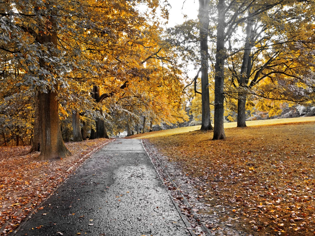 Prognoza pogody na 1 i 2 listopada Prognoza pogody na 1 i 2 listopada