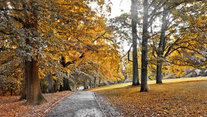 Nawet 19 stopni. Pogoda na Wszystkich Świętych może zaskoczyć