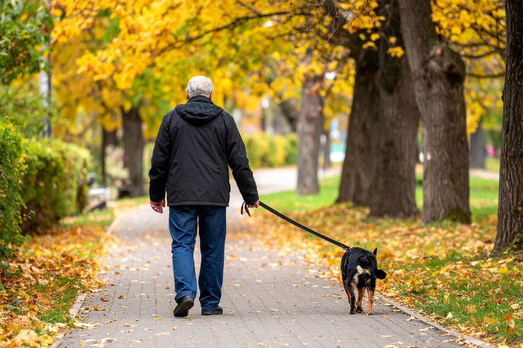 Wrocławianin zaginął. Odnalazła go mała suczka Wrocławianin zaginął. Odnalazła go mała suczka