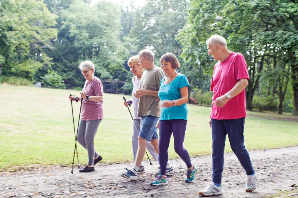Solo lub z przyjaciółmi czy bliskimi. Kluczem jest, by spacer był ciągły, bez przerw Grupa starszych osób spaceruje po parku, otoczona zielenią drzew, niektórzy z kijkami do nordic walking, wszyscy ubrani w sportowe stroje i prowadzący rozmowę.