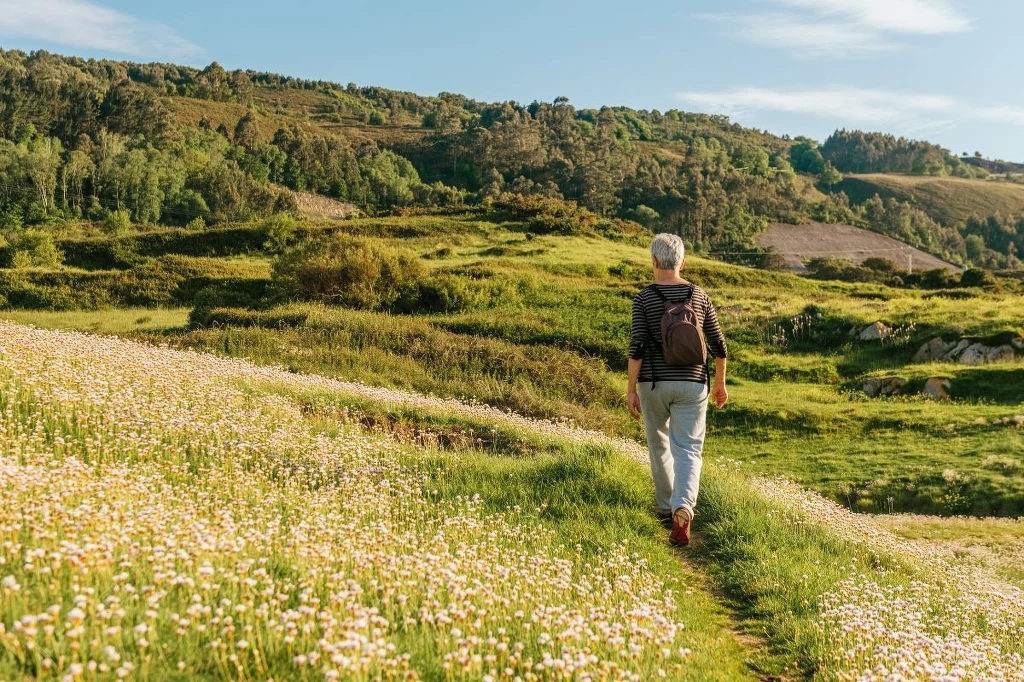 Kluczem do sukcesu jest regularność. Niech spacer będzie czasem dla ciebie Osoba idąca ścieżką przez kwitnącą łąkę, w tle wzgórza porośnięte lasem i krzewami, całość oświetlona ciepłym światłem słonecznym.