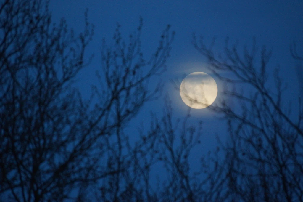Na początku listopada będzie można podziwiać rekordową pełnię Księżyca Na początku listopada będzie można podziwiać rekordową pełnię Księżyca