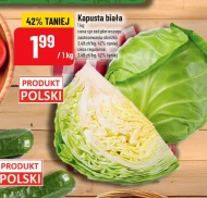 Kapusta biała Polski