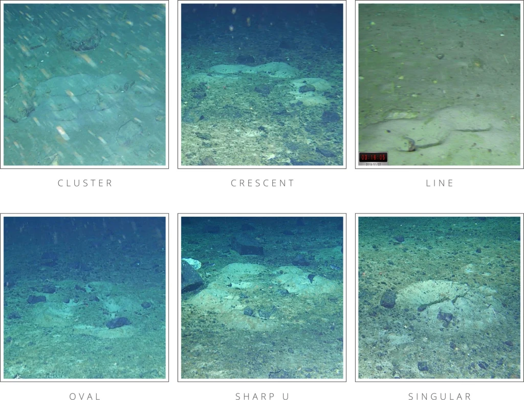 Różne kształty formacji na dnie morskim, rozmieszczone w grupach, półksiężycach, liniach, owalach, ostrych literach U i pojedynczo, z widocznym ciemnym podłożem oraz osadami mineralnymi.