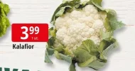 Kalafior