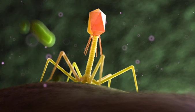 Przełomowe osiągnięcie Polaków. Będą leczyć ukraińskich żołnierzy za pomocą bakteriofagów