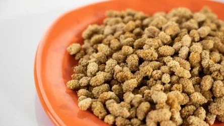 W Azji od wieków jedzą tę przekąskę. Idealna przy cukrzycy i nadwadze