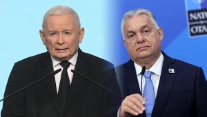 Węgierski model wzorcem dla PiS. Tak chcą rozwiązać problem dzietności