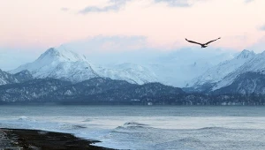 Potężny huragan zniszczył cenne artefakty na Alasce