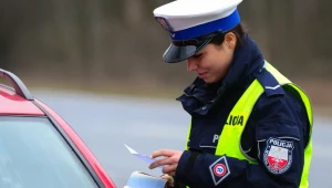 Parkowanie przy cmentarzu. Co grozi kierowcom 1 listopada