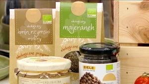 Ekologiczna kiełbasa wiejska w soczewicy z warzywami