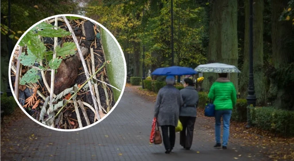 Niewybuch znaleziony w pobliżu cmentarza we Wrocławiu