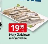 Płaty śledziowe