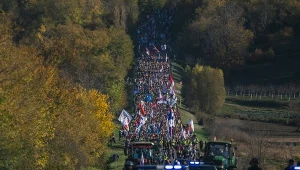 Tłumy maszerują do Nowego Sadu. Wrze przed rocznicą tragedii