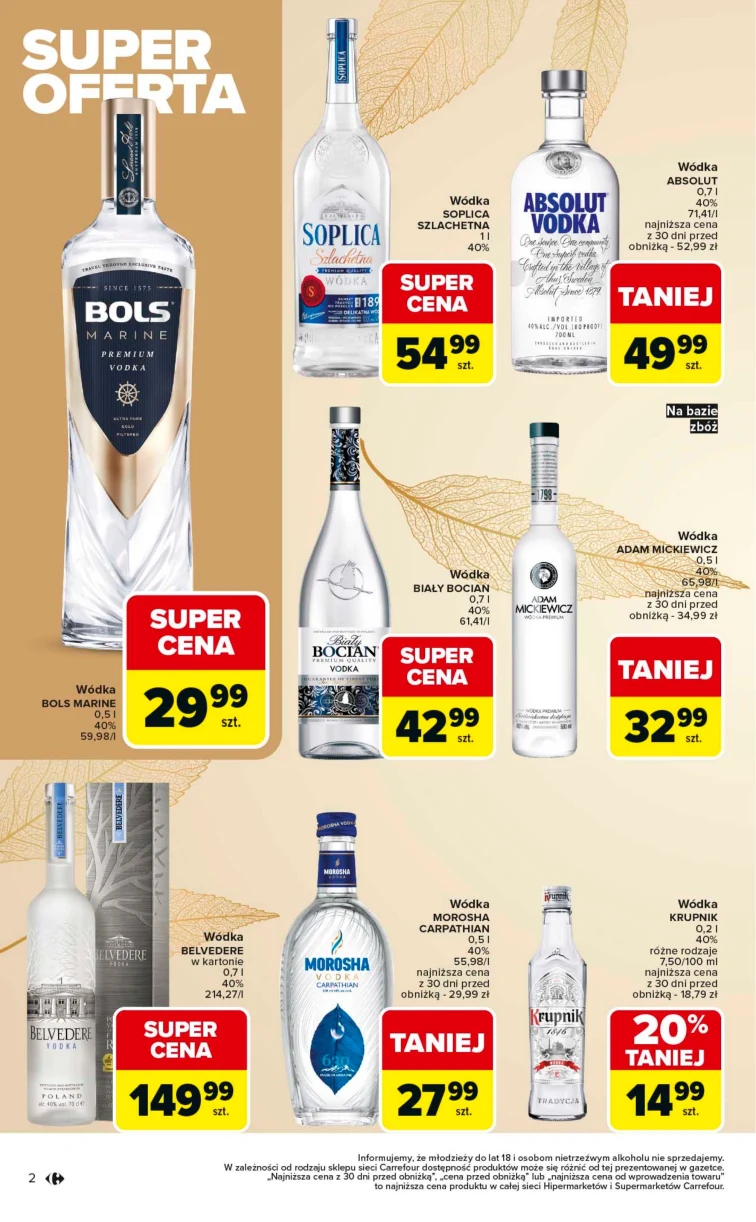 leaflet page preview image