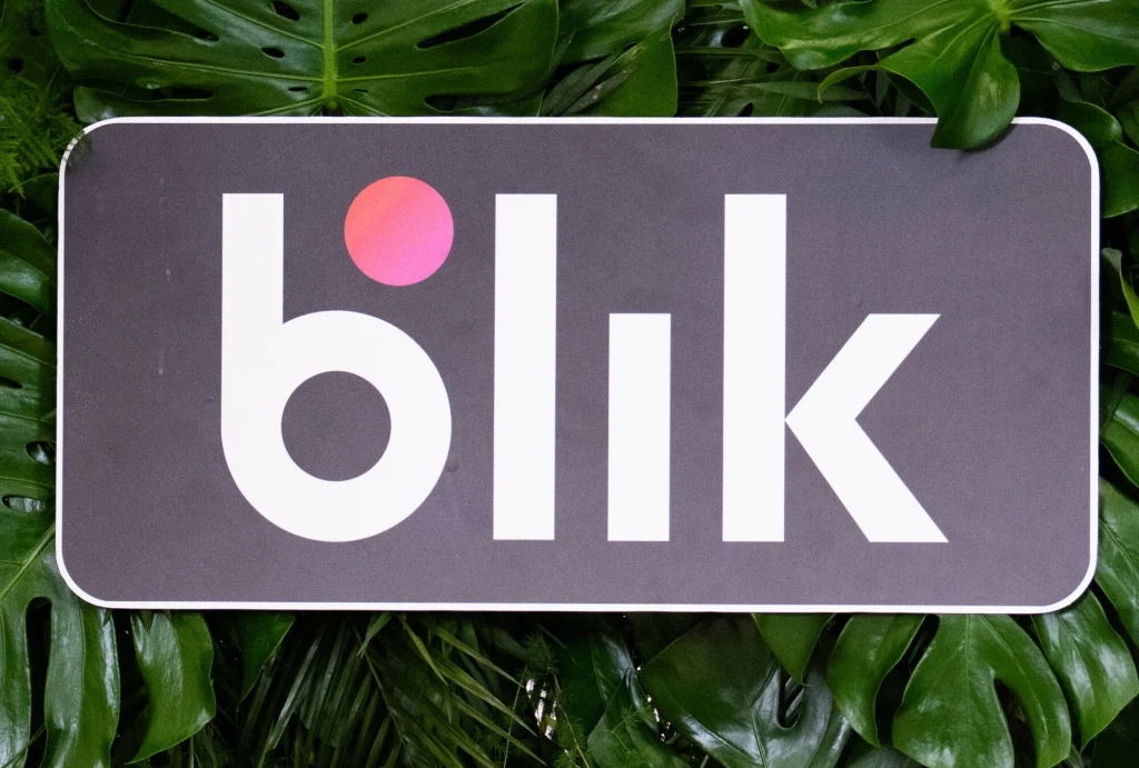 BLIK znowu na celowniku hakerów. Kolejny atak DDoS Logo BLIK na prostokątnej tablicy z ciemnym tłem, otoczone dużymi zielonymi liśćmi roślin.