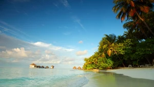 Kraj wprowadził "pokoleniowy zakaz". Pierwszy taki przypadek na świecie