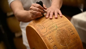 We Włoszech kradną sery. Łupem złodziei padło 200 form parmezanu