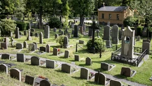 Śmierć tylko "na papierze". Poszkodowani przeżywają szok w urzędach