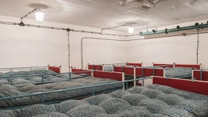 Polska może przyspieszyć budowę schronów. Wiceszef MSWiA wskazuje sposób