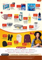 Smaki złotej jesieni – 