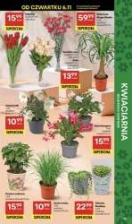 Polskie smaki w niższej cenie - Delikatesy Centrum